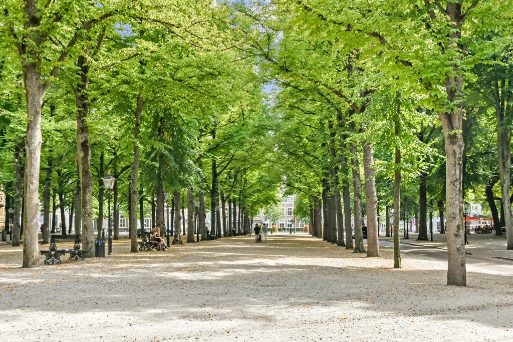 Het marktseizoen op het Lange Voorhout is weer begonnen