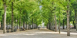 Het marktseizoen op het Lange Voorhout is weer begonnen