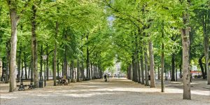 Het marktseizoen op het Lange Voorhout is weer begonnen
